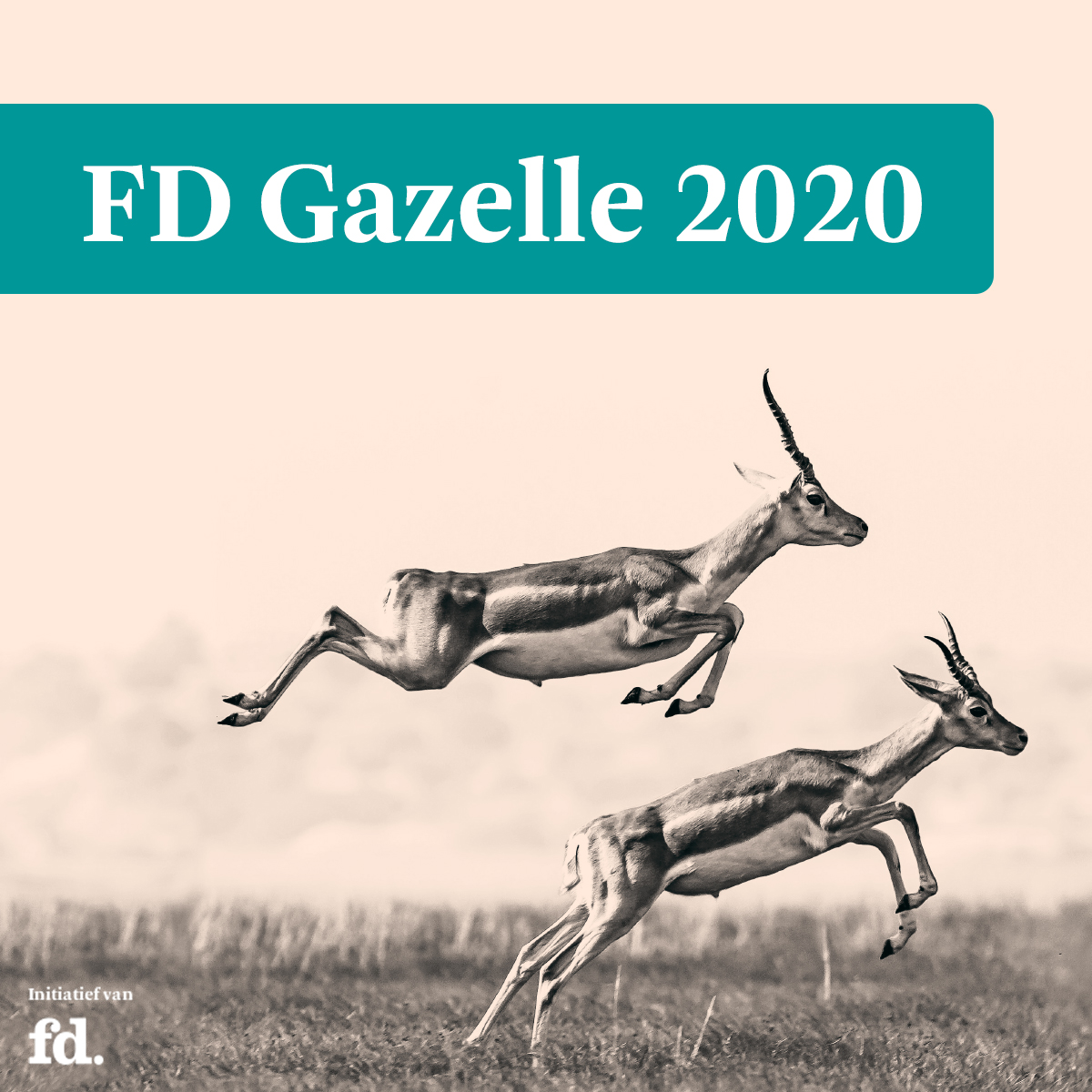 logo FD Gazelle 2020